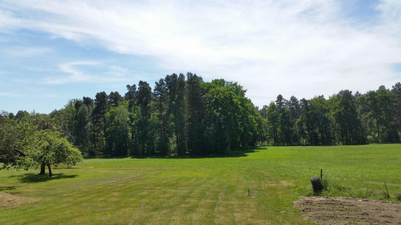 Ferienwohnung "Am Weinberg" Bad Schmiedeberg Extérieur photo